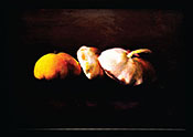 Autumn Squash