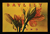 Daylily Brand