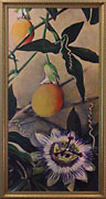 Passion Fruit Flowering