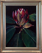 Rhododendron Bloom