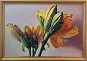 The Day Lillies