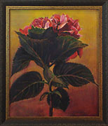 The Pink Hydrangea