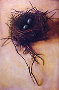 The Robin's Nest