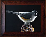 Titmouse